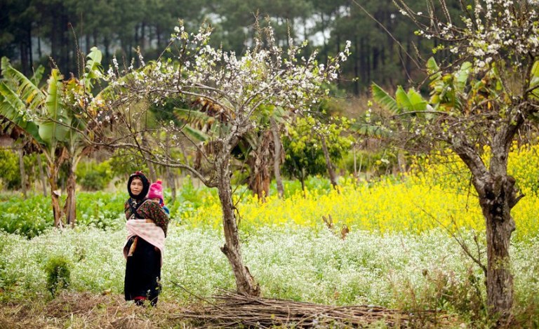 Thiết kế cảnh quan, thiết kế sân vườn, thiết kế tiểu cảnh giếng trời, thiet ke san vuon, thi cong san vuon, thiet ke canh quan, thi cong canh quan, thiet ke, thi cong tieu canh, gieng trơi.